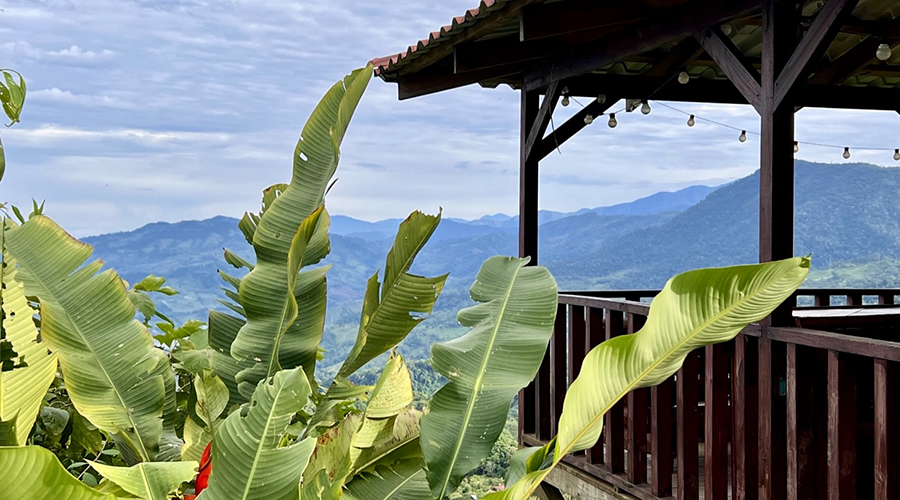 Costa Rica - Perez Zeledon - San Isidro - Airbnb Tinamastes (1+3) - Extrieurs - Vue 8