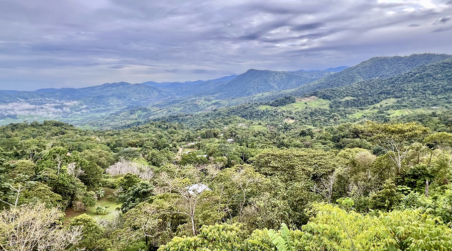 Costa Rica - Perez Zeledon - San Isidro - Airbnb Tinamastes (1+3) - Extrieurs - Vue 9