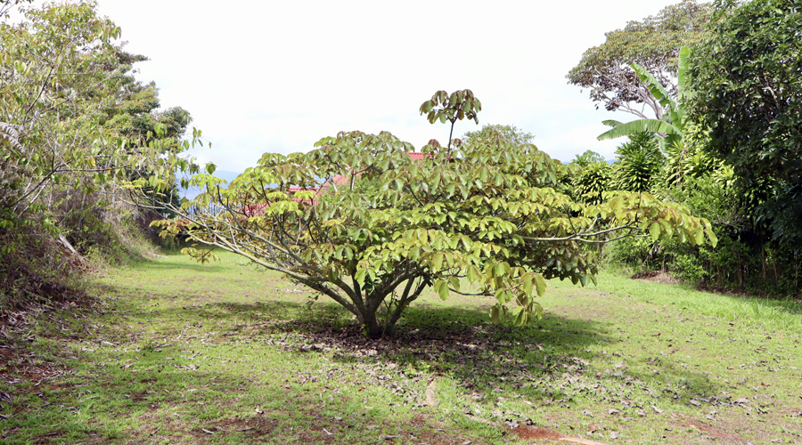 Costa Rica, Perez Zeledon - San Isidro - Villa Moraven - Lot 1 - Vue 1