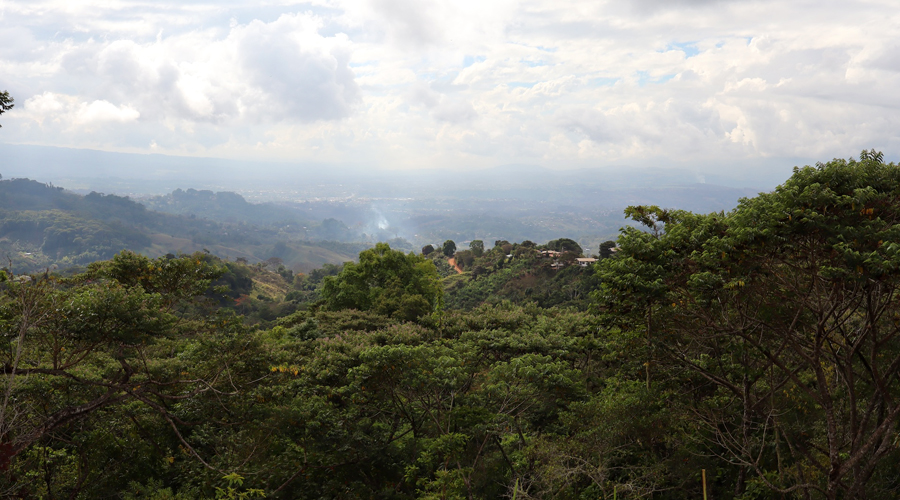 Costa Rica, Province de San Jose, San Isidro del General - Las 6 Terrazas - Vue valle 2