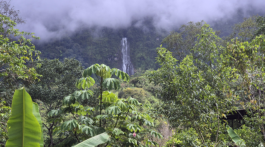Costa Rica - Perez Zeledon - Baru - San Salvador - Finca la Cascada - CASITA - Alentours - vue 2