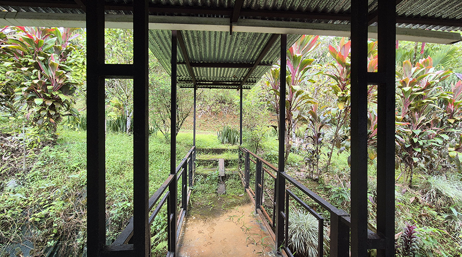 Costa Rica - Perez Zeledon - Baru - San Salvador - Finca la Cascada - MAISON - Etage - vue 3