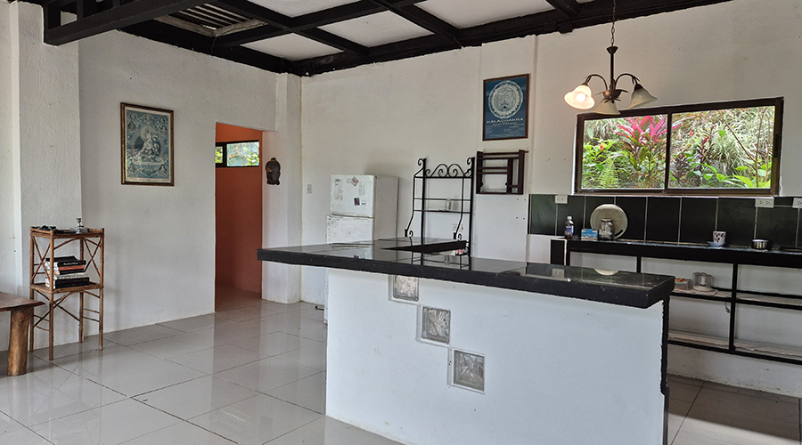 Costa Rica - Perez Zeledon - Baru - San Salvador - Finca la Cascada - MAISON - Rdc - Cuisine - vue 1