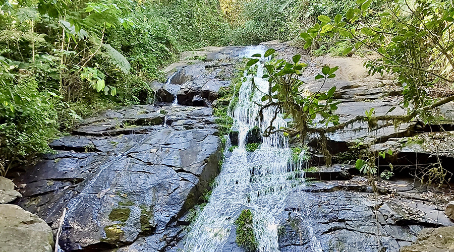Costa Rica - Filadelfia de Colinas - Finca Filadelfia - Jungle - Ruisseau - Cascade - Vue 1