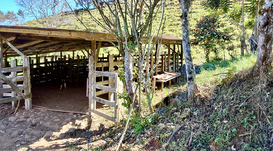 Costa Rica - Filadelfia de Colinas - Finca Filadelfia - Montagne - Hangars - Vue 1