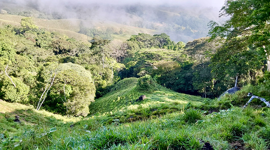 Costa Rica - Filadelfia de Colinas - Finca Filadelfia - Paturages - Montagne - Vue 2