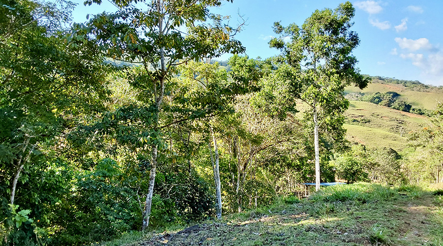 Costa Rica - Filadelfia de Colinas - Finca Filadelfia - Paturages - Montagne - Vue 10