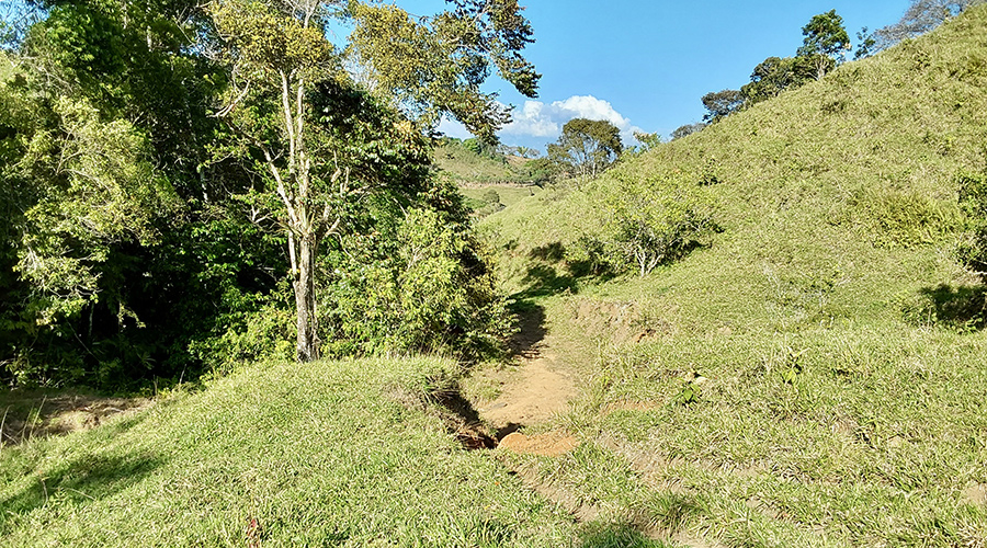 Costa Rica - Filadelfia de Colinas - Finca Filadelfia - Paturages - Montagne - Vue 7