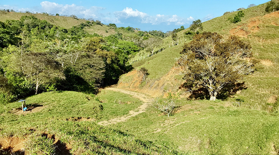Costa Rica - Filadelfia de Colinas - Finca Filadelfia - Sentiers - Montagne - Vue 2