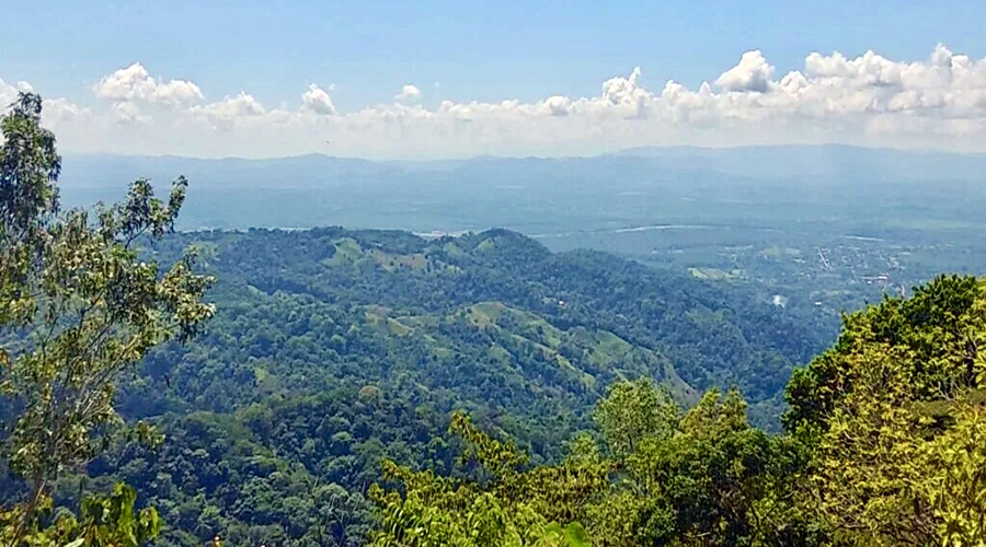 Costa Rica - Filadelfia de Colinas - Finca Filadelfia - Montagne - Vue 1
