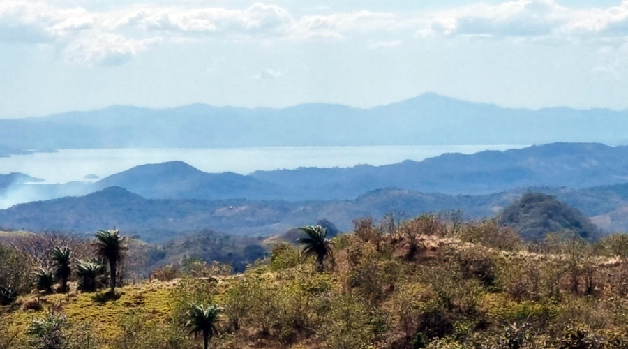 Province de Puntarenas, Finca de 140 hectares offrant 118 lots déjà ségrégués, à développer - Vue 2