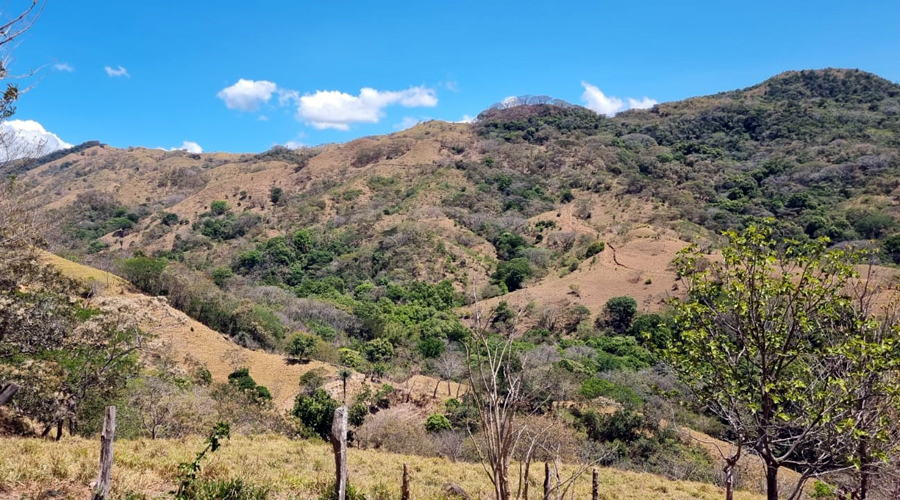 Province de Puntarenas, Finca de 140 hectares offrant 118 lots déjà ségrégués, à développer - Vue 5