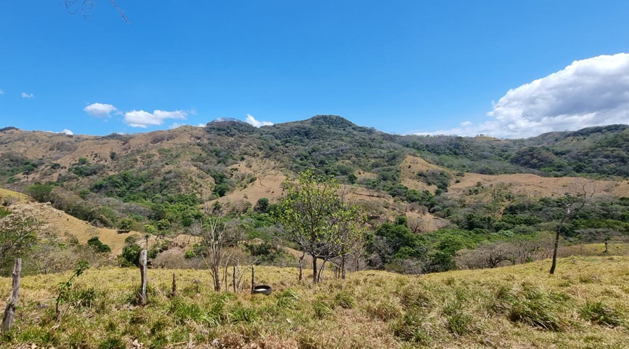 Province de Puntarenas, Finca de 140 hectares offrant 118 lots déjà ségrégués, à développer - Vue 6