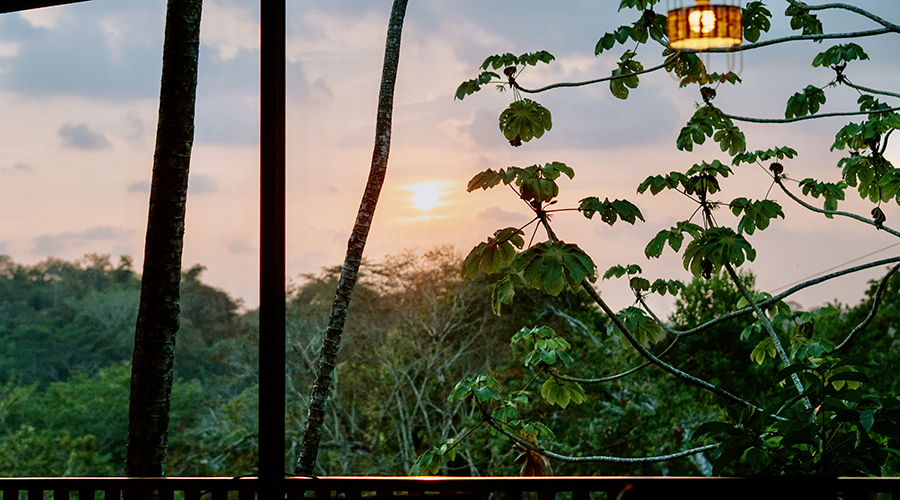 Costa Rica - Puntarenas - Hatillo - Villa Paraiso - Extrieur - Villa - Vue Jungle - Vue 1