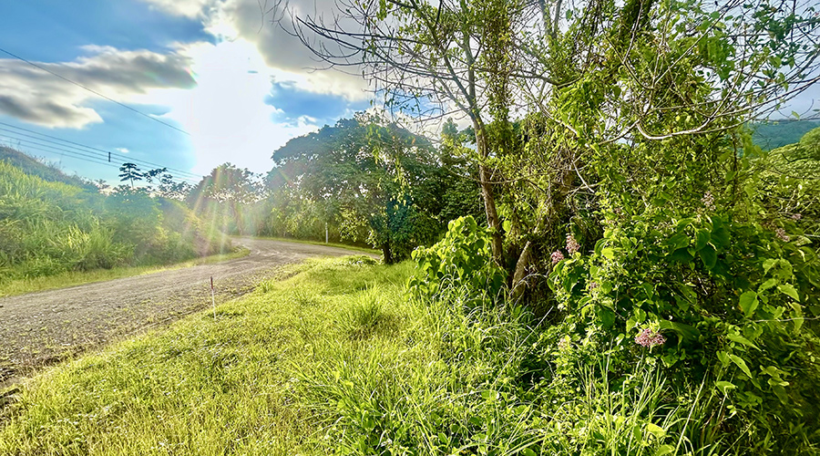 Costa Rica - Puntarenas - Ojochal - Lot Calle Cresta - Terrain - Route Accs - Vue 1