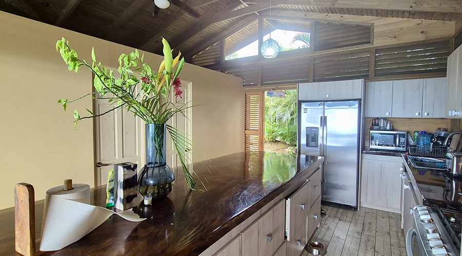 Costa Rica - Osa - Bahia Ballena - Ojochal - Casa Bella Vista - Cuisine - vue 4