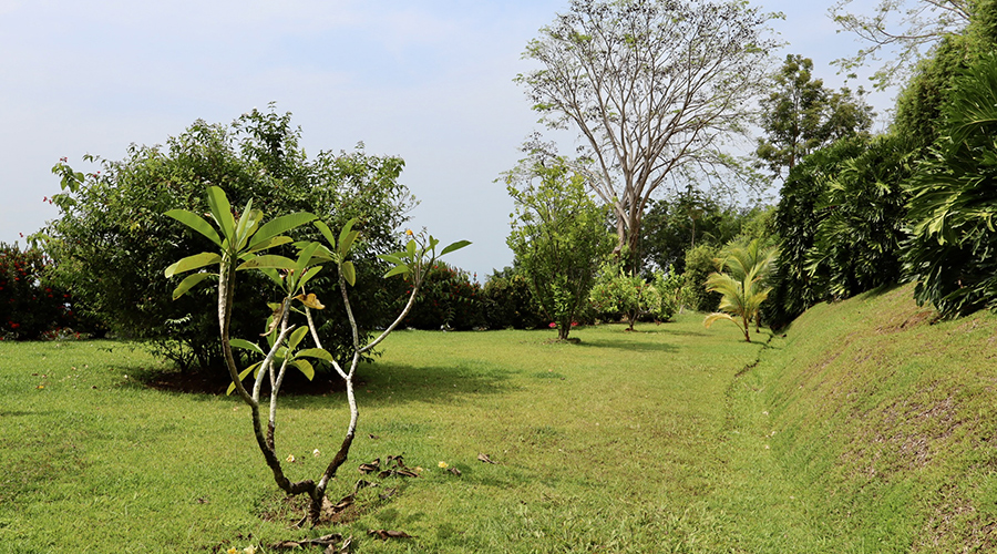 Costa Rica - Osa - Bahia Ballena - Ojochal - Casa Bella Vista - Vue du jardin