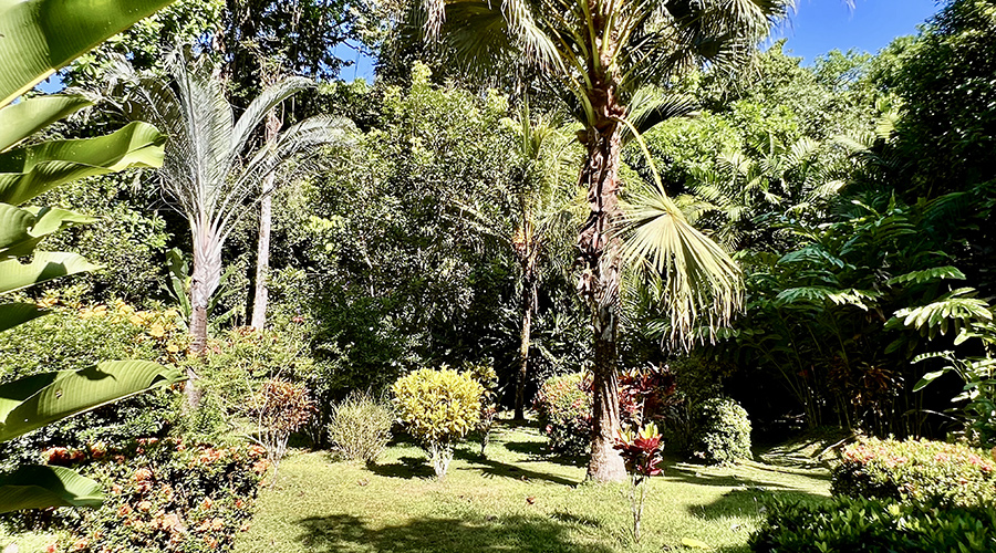 Costa Rica - Puntarenas - Ojochal - Casa Tropical - Extrieur - Jardin - Vue 1
