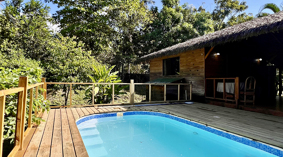  Costa Rica - Puntarenas - Ojochal - Casa Tropical - Extrieur - Piscine - Vue 2