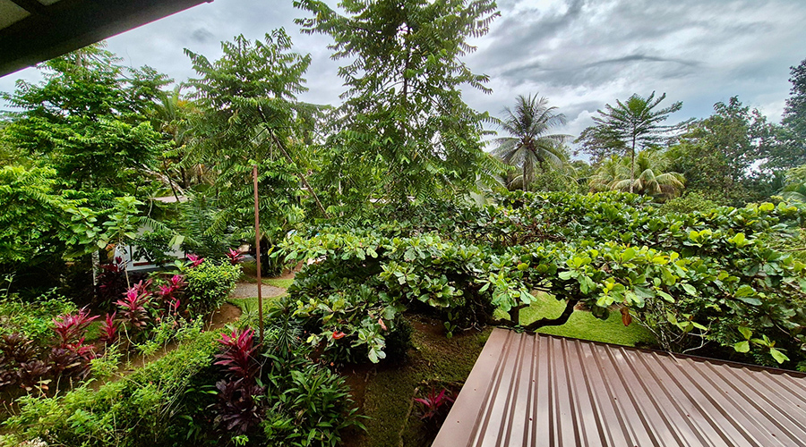 Costa Rica - Ojochal - Hotl La Calle - Intrieur - 1er tage - Chambre 3 - Terrasse - Vue 3