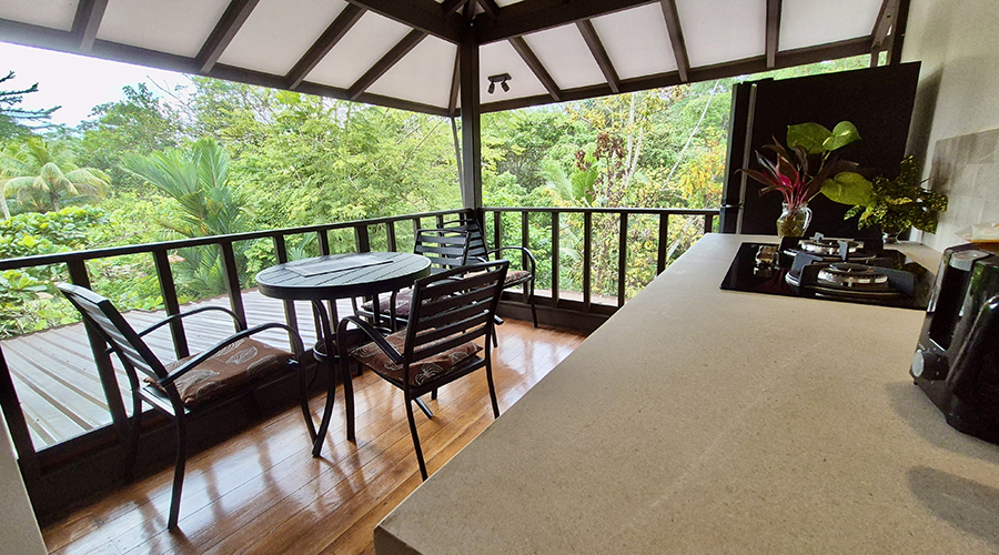 Costa Rica - Ojochal - Hotl La Calle - Intrieur - 1er tage - Chambre 3 - Terrasse - Vue 2