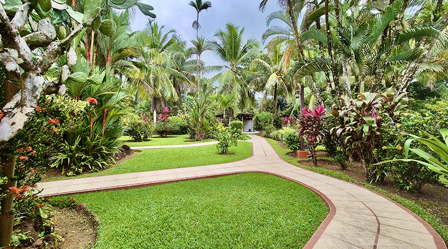 Costa Rica - Ojochal - Hotl La Calle - Extrieur - Jardin - Vue 3