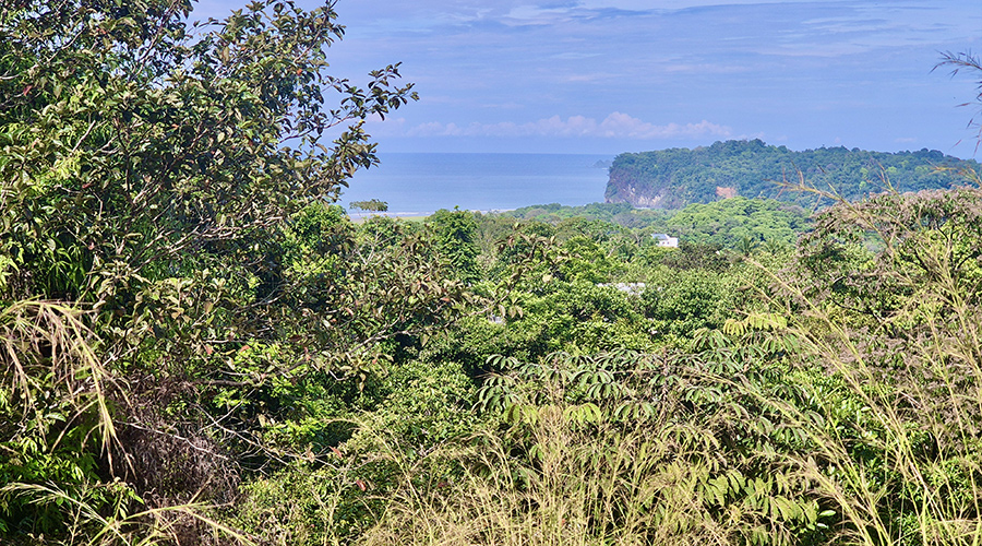 Costa Rica - Ojochal - Lot Perezoso - Terrain - Vue Mer - Vue 4