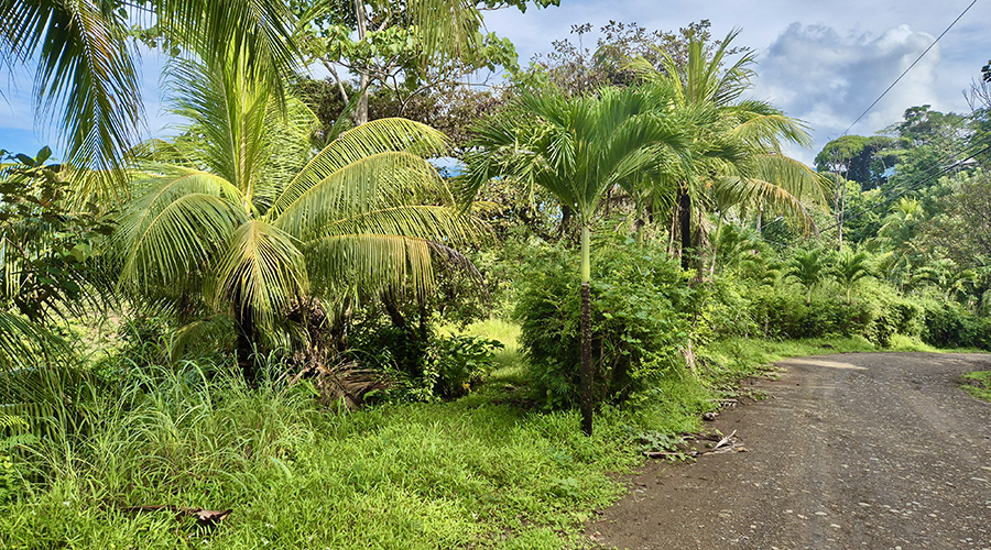 Costa Rica - Ojochal - Lot Perezoso - Terrain - Vue Mer - Vue 3