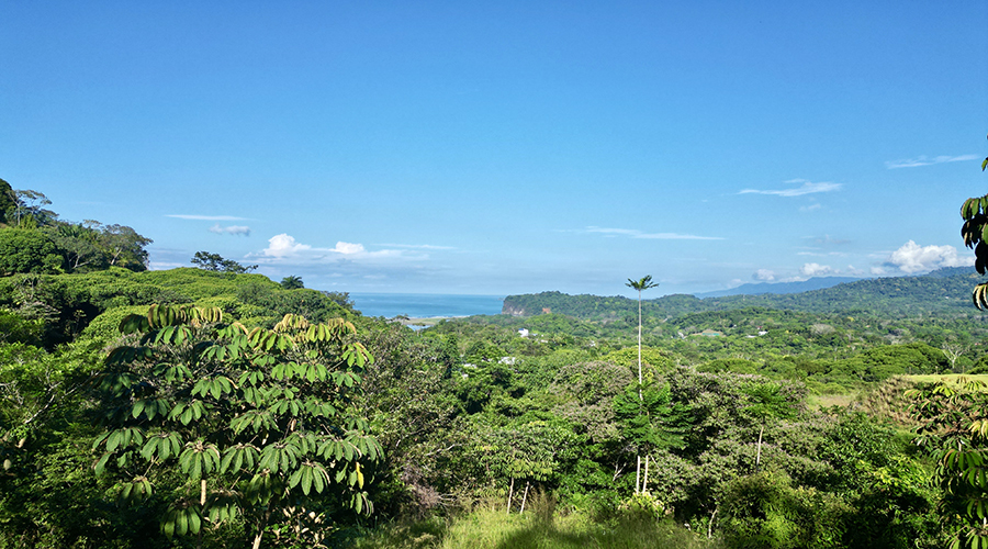 Costa Rica - Ojochal - Lot Perezoso - Terrain - Vue Mer - Vue 2