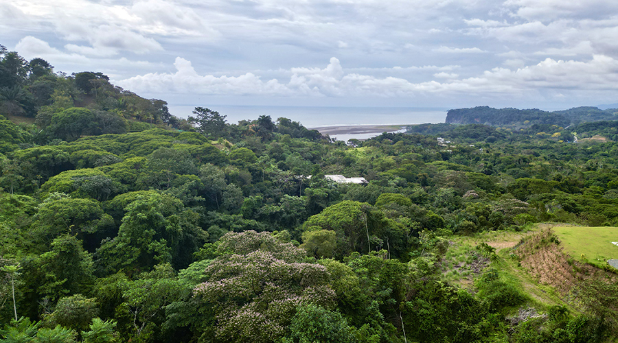 Costa Rica - Ojochal - Villa Perezoso - Niveau Suprieur - Terrasse - Vue Panoramique - Vue 1