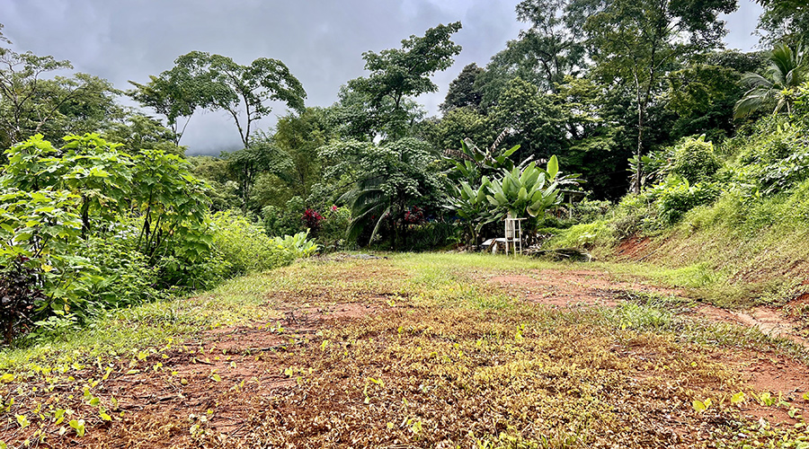 Costa Rica - Osa - Puerto Cortes - Casa Tres Rios - Lot supplmentaire 2 - vue 2