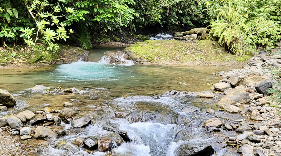 Costa Rica - Puntarenas - Portalon - Finquita Portalon - Rivi�re - Vue 2