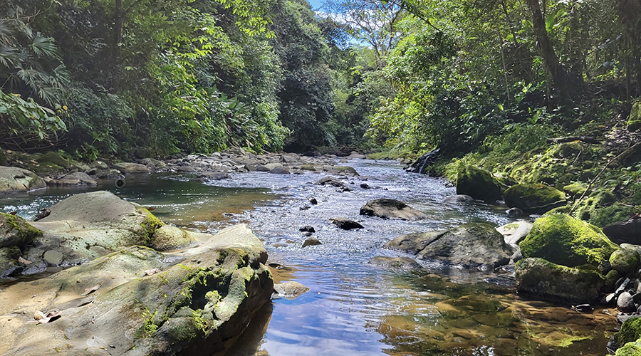 Costa Rica - Puntarenas - Portalon - Finquita Portalon - Rivi�re - Vue 3