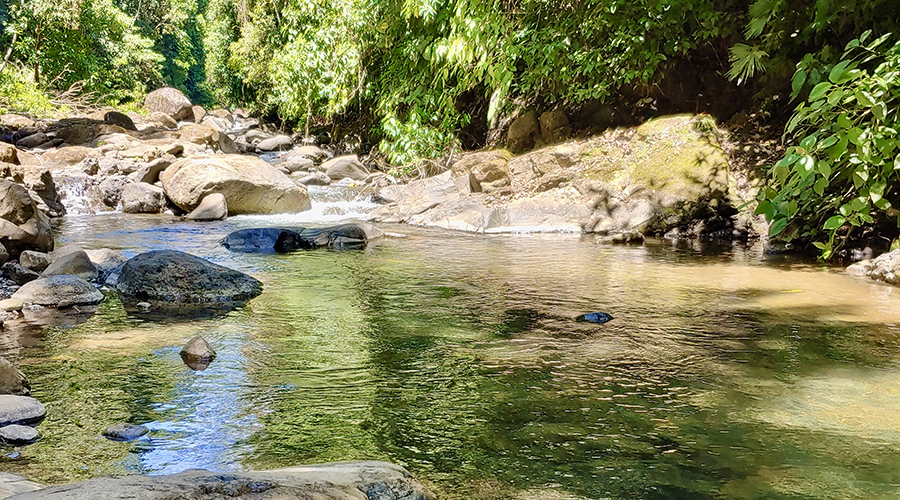 Costa Rica - Puntarenas - Portalon - Finquita Portalon - Rivi�re - Vue 5