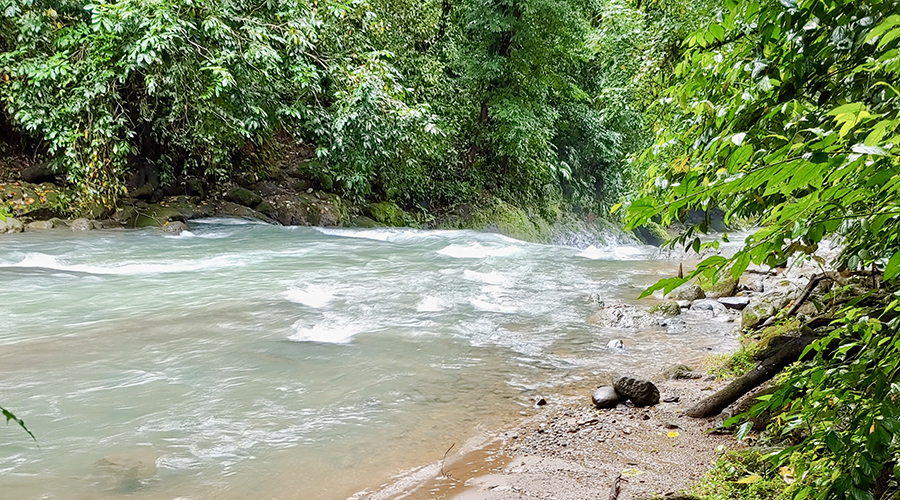 Costa Rica - Puntarenas - Portalon - Finquita Portalon - Rivi�re - Vue 6