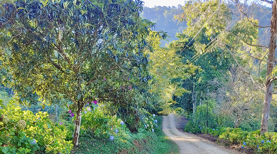 Costa Rica - Puntarenas - Portalon - Finquita Portalon - Route - Vue 1