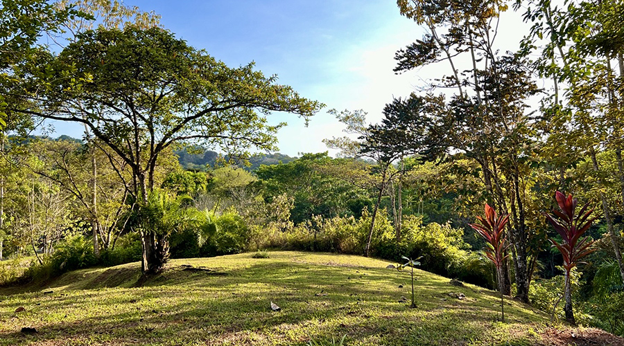 Costa Rica - Osa - Puerto Cortes - Ojochal - Casa Tucan - Terrain - vue 1