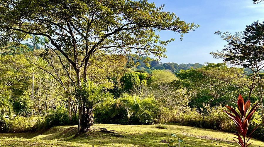 Costa Rica - Osa - Puerto Cortes - Ojochal - Casa Tucan - Terrain - vue 2