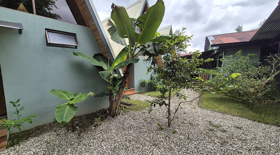 Costa Rica - San Vito de Coto Brus - Complexe commercial, restaurant-pizzeria - 5 cabinas - maison - Extrieur 2