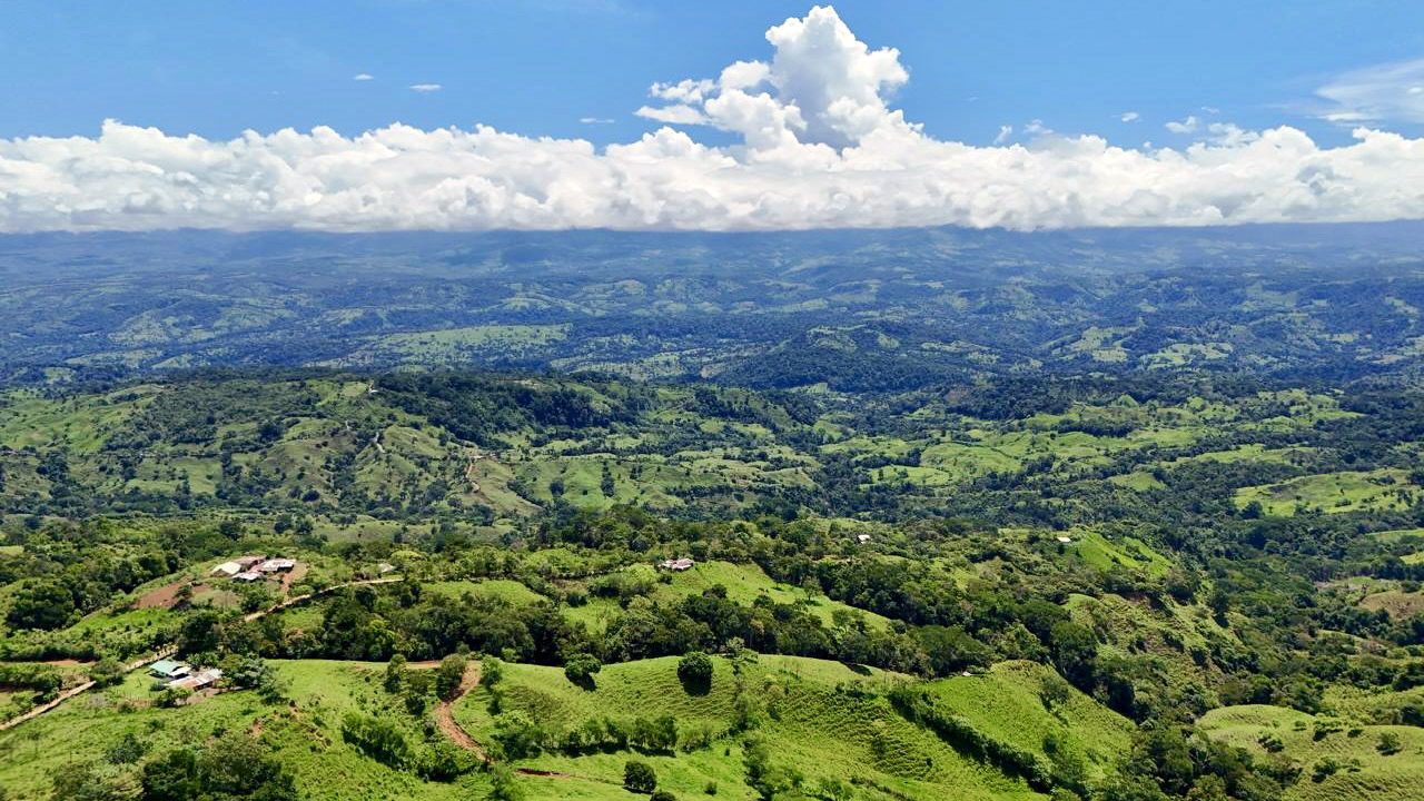 Costa Rica - San Vito de Coto Brus - Finca Santa Cecilia - Vue  4