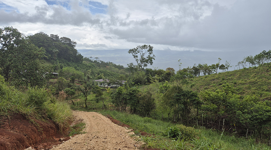 Costa Rica - San Vito de Coto Brus - Finca Santa Cecilia - Vue 6