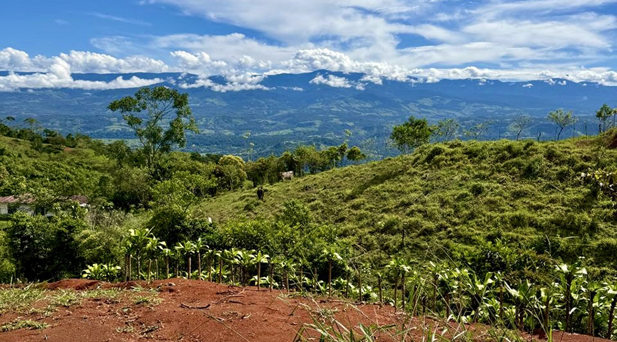 Finca Santa Cecilia - GI