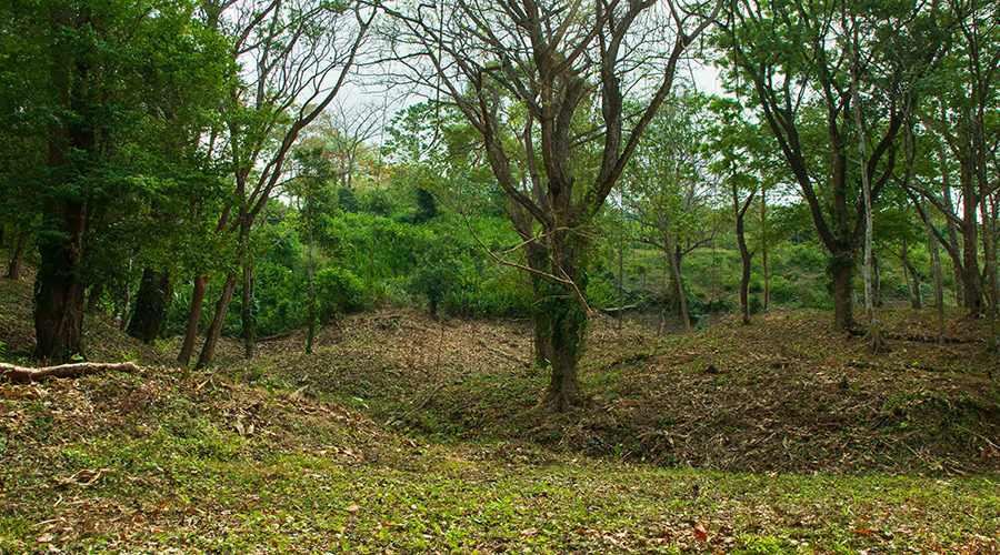Costa Rica - Puntarenas - Santa Teresa - Hacienda Okhra - Terrain Vue Oc�an - Vue 7