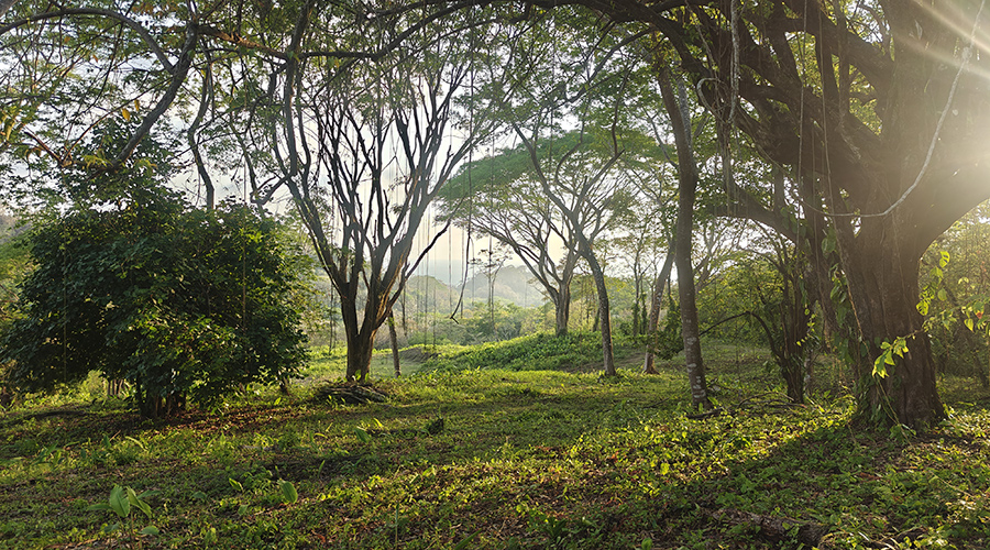 Costa Rica - Puntarenas - Santa Teresa - Hacienda Okhra - Terrain Vue Oc�an - Vue 3