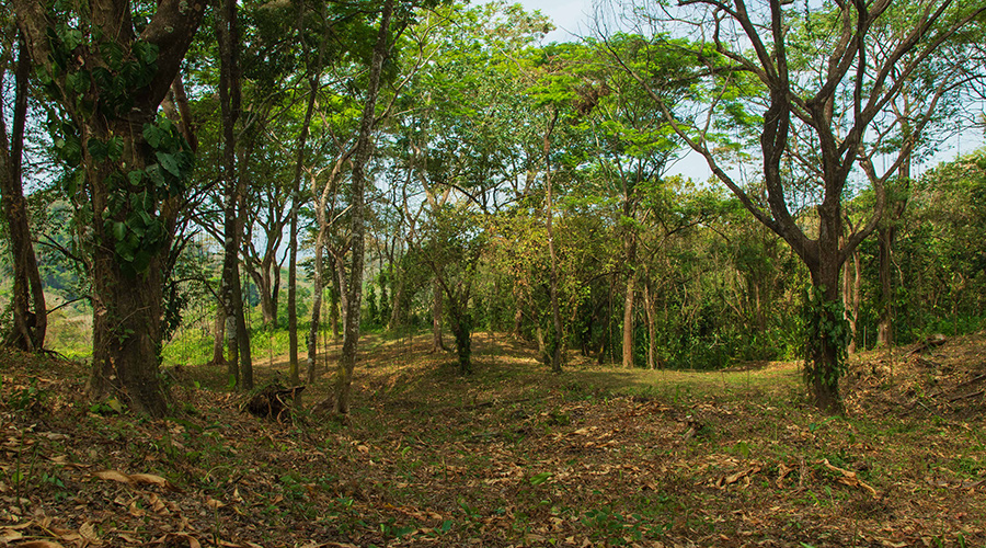 Costa Rica - Puntarenas - Santa Teresa - Hacienda Okhra - Terrain Vue Oc�an - Vue 9