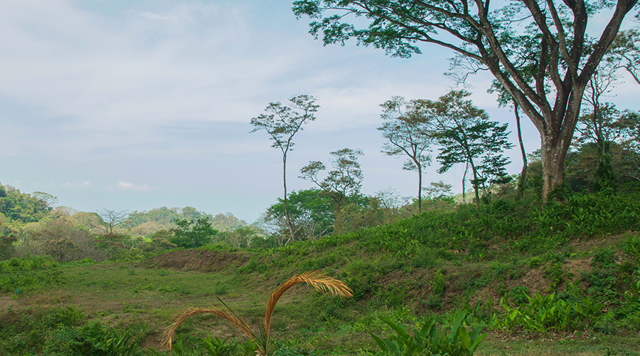 Costa Rica - Puntarenas - Santa Teresa - Hacienda Okhra - Terrain Vue Oc�an - Vue 5