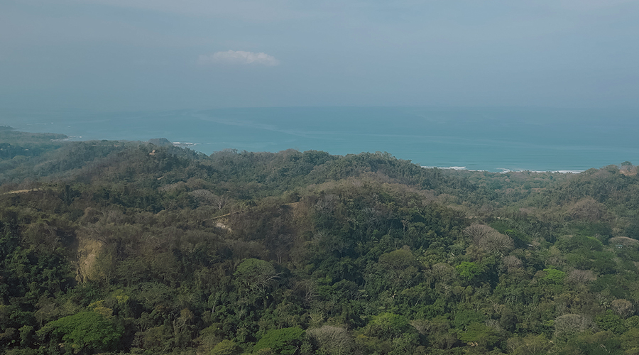 Costa Rica - Puntarenas - Santa Teresa - Hacienda Okhra - Terrain Vue Oc�an - Vue 6