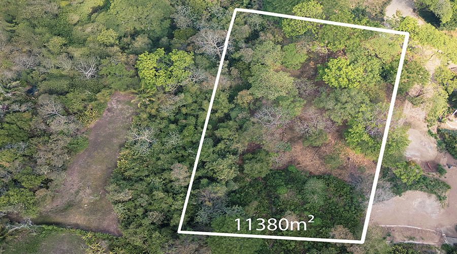 Costa Rica - Puntarenas - Santa Teresa - Hacienda Okhra - Terrain Vue Oc�an - Vue 4