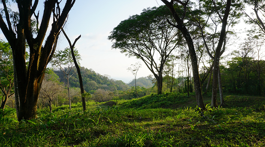 Terrain Hacienda Okhra - BP