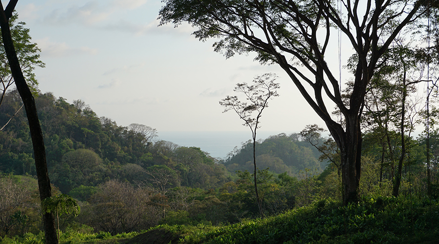 Costa Rica - Puntarenas - Santa Teresa - Hacienda Okhra - Terrain Vue Oc�an - Vue 2